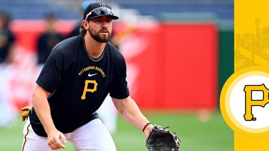 Triolo to IL, Cook recalled taken in Pittsburgh